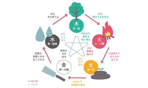 日本 五行|陰陽五行説｜基礎知識から法則、具体例についてわか 